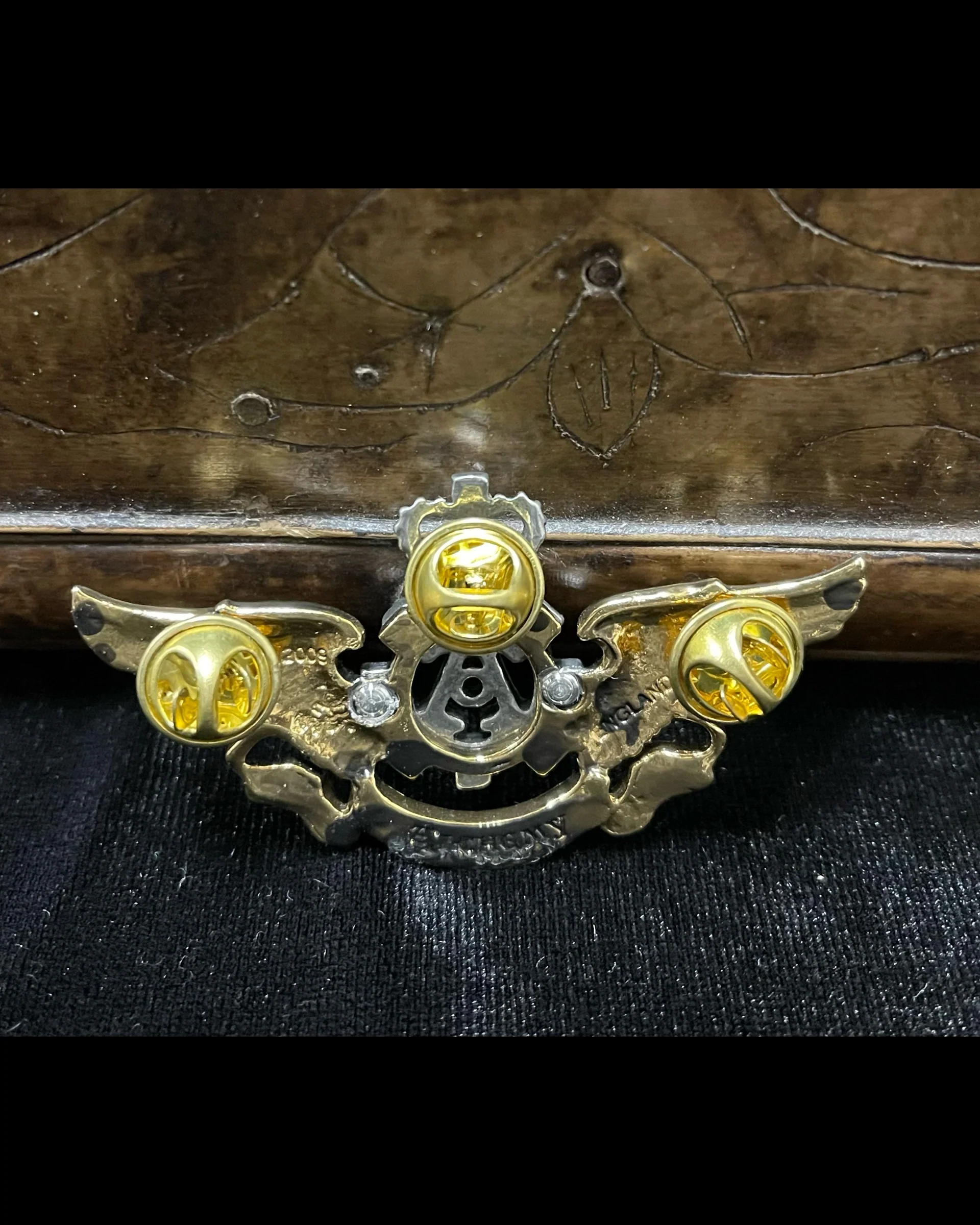 ALCHEMY STEAMPUNK WINGS PIN - Image 2