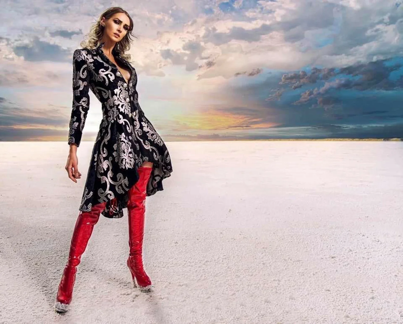 LIONHEART COAT - SILVER ON BLACK VELVET BROCADE - Image 4