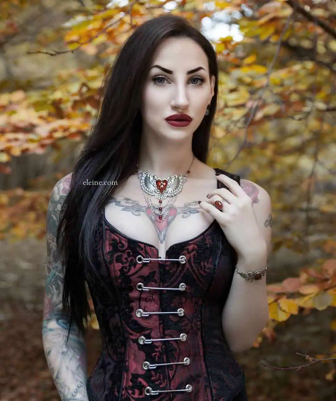 PIN BODICE - RED AND BLACK TAPESTRY - Image 3