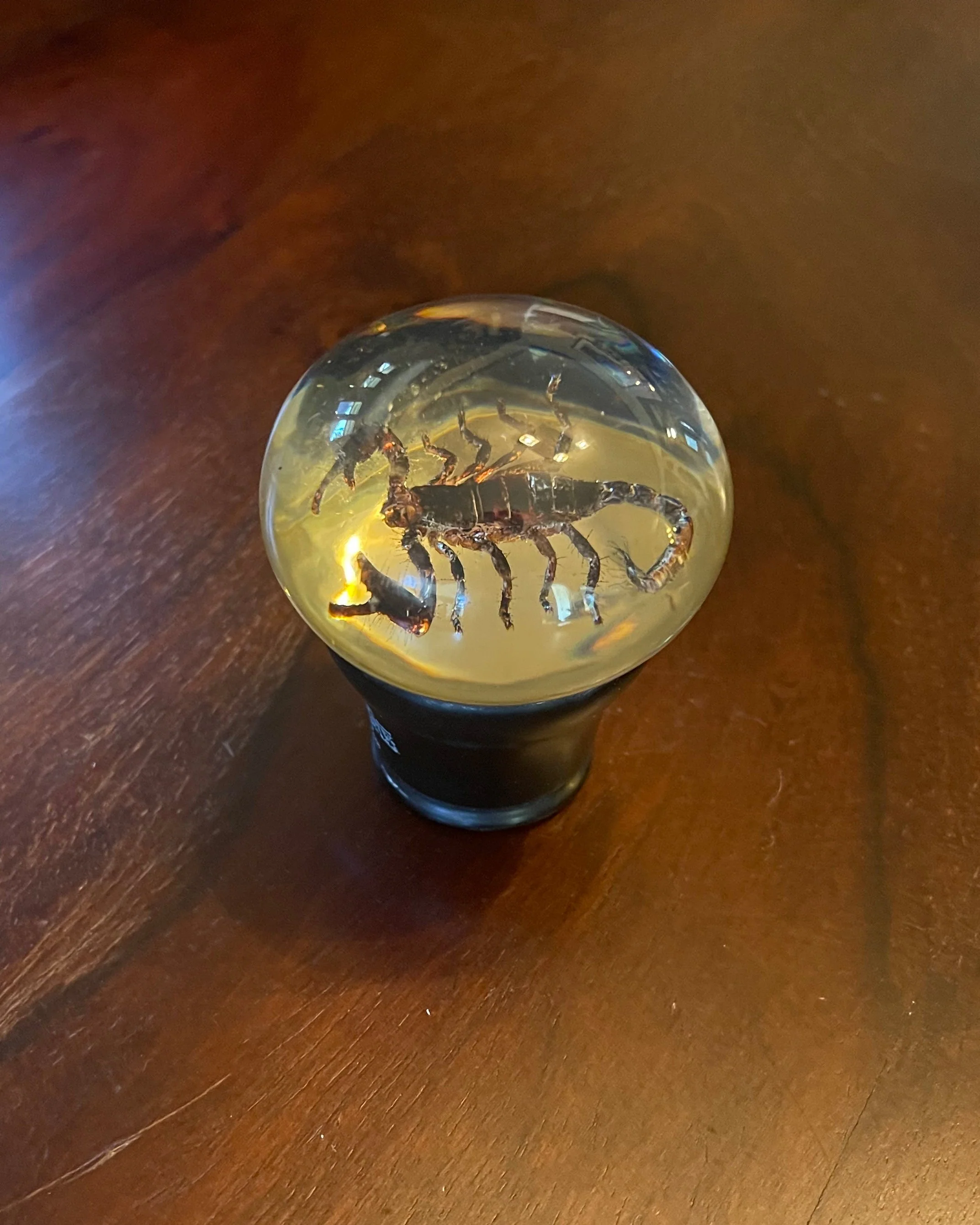 SCORPION GEAR SHIFT KNOB - Image 2