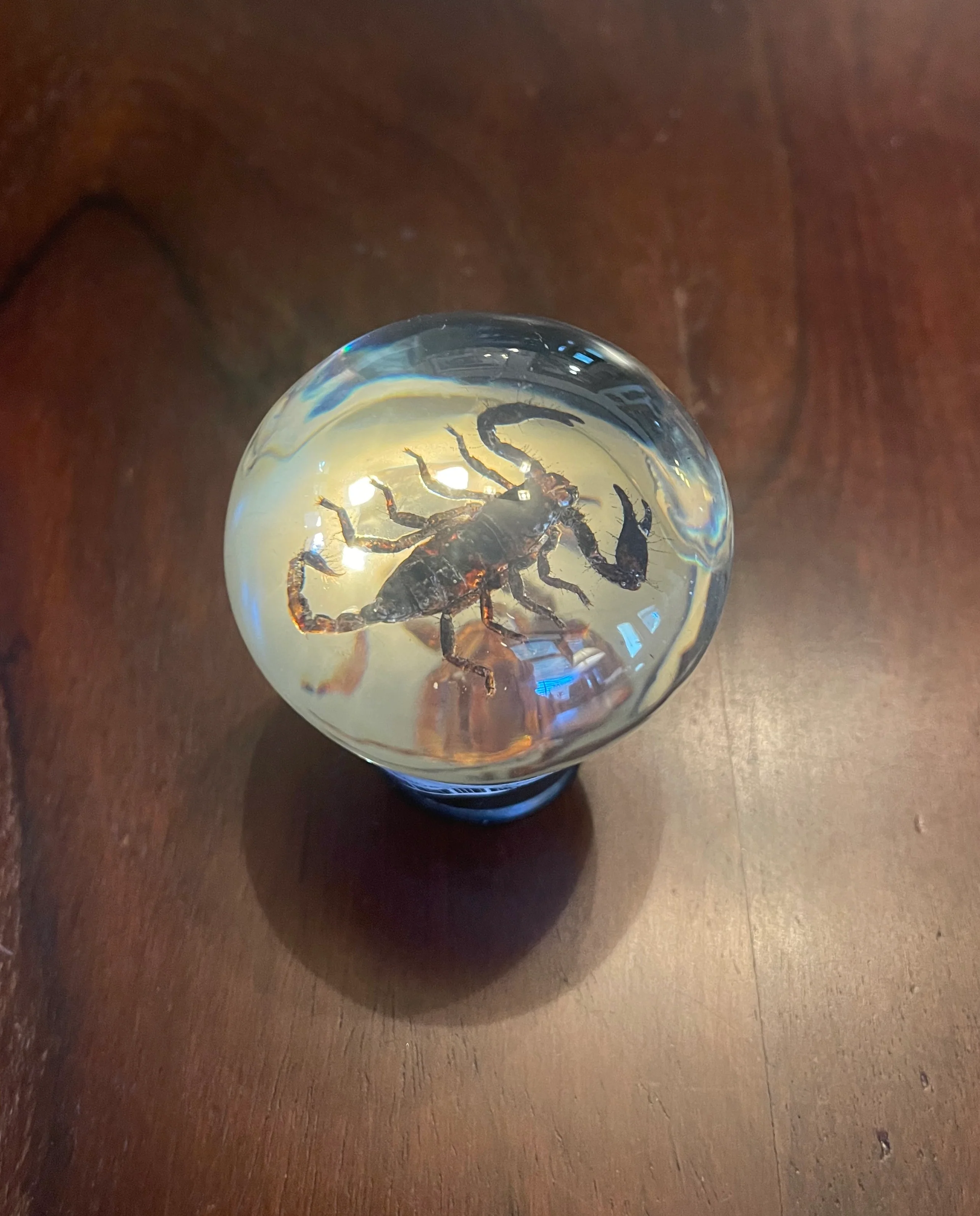 SCORPION GEAR SHIFT KNOB - Image 3