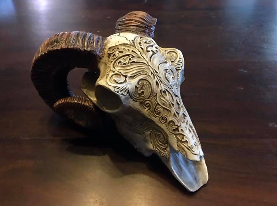 SCRIMSHAW RAM'S SKULL - Image 3